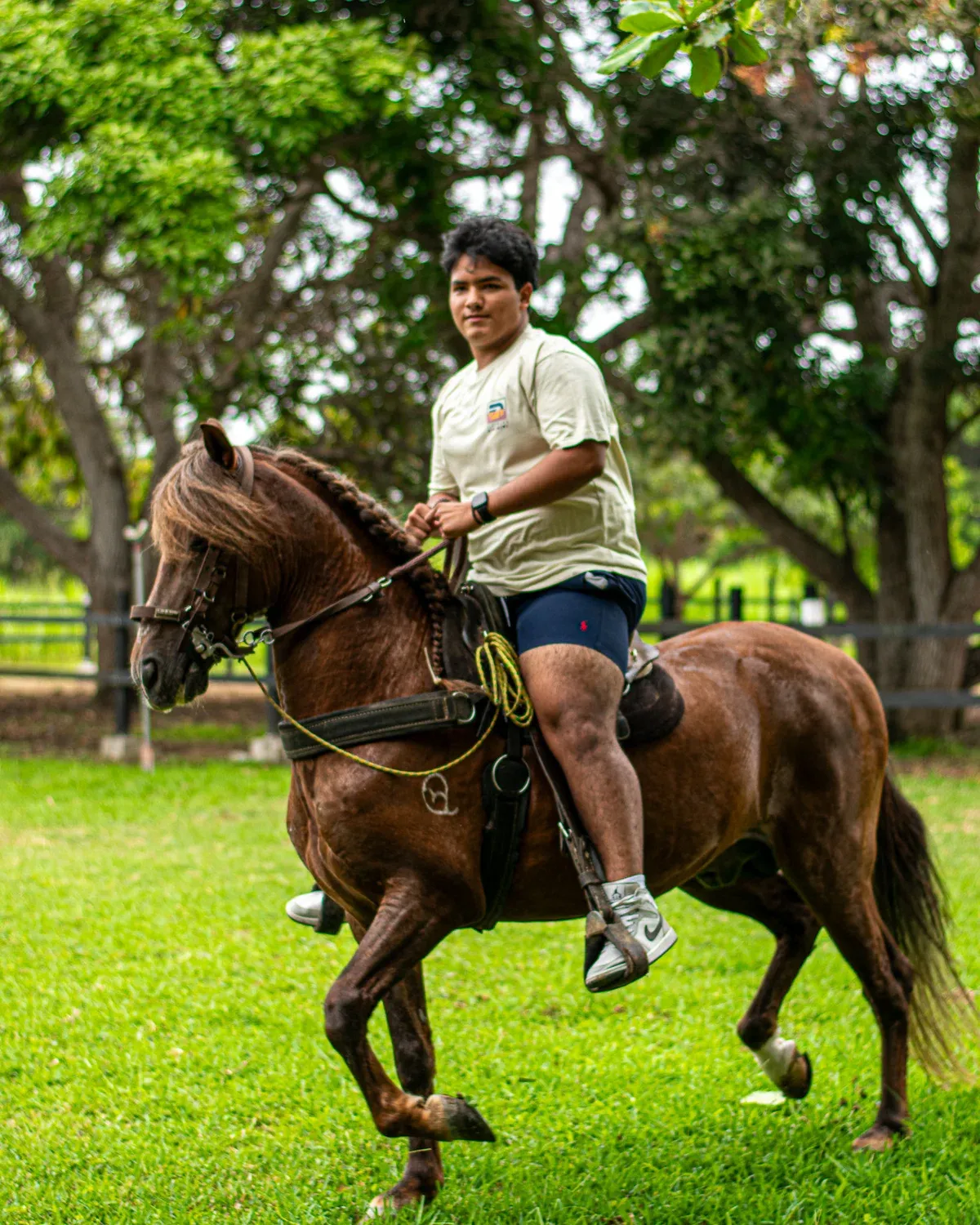 Foto de promoción 3