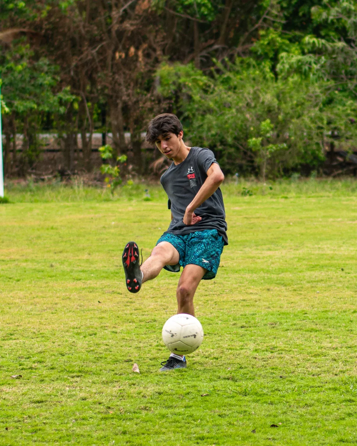 Foto de promoción 11