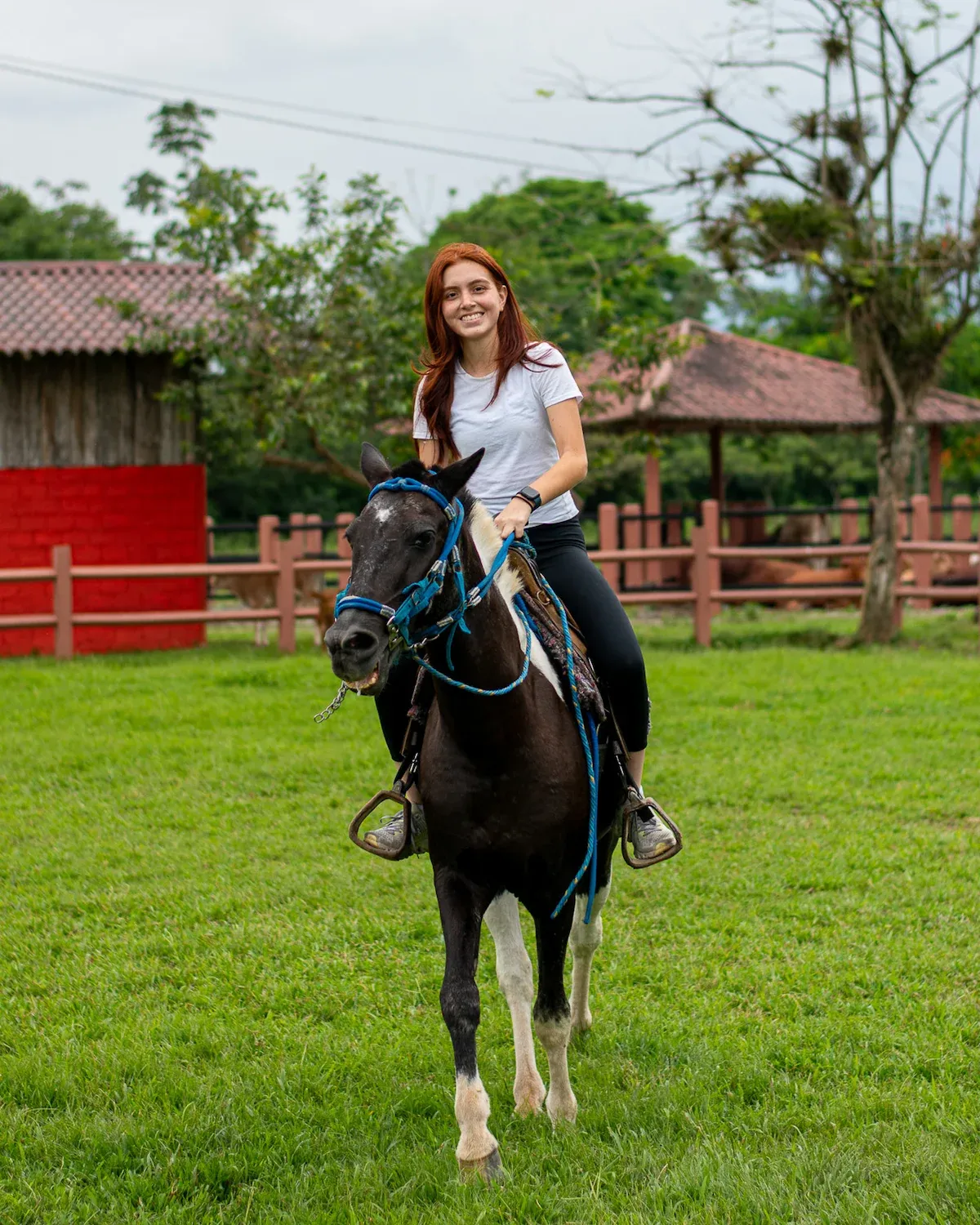 Foto de promoción 56